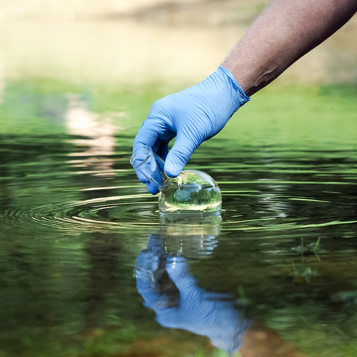 pond dechlorinator