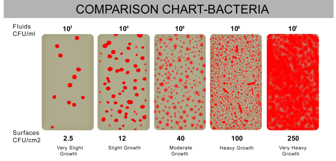 Fuel-Comparison-Chart-Bacteria