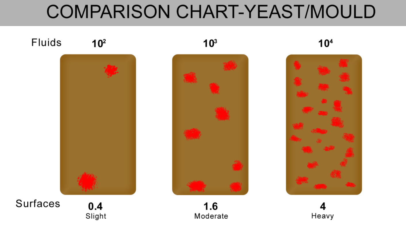 Fuel-Comparison-Chart-Yeast-Mould